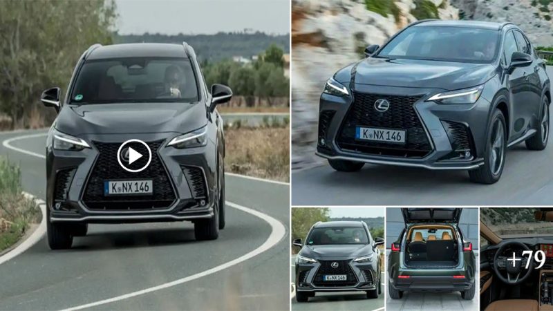 Car 2022 Lexus NX 450h+ F Sport