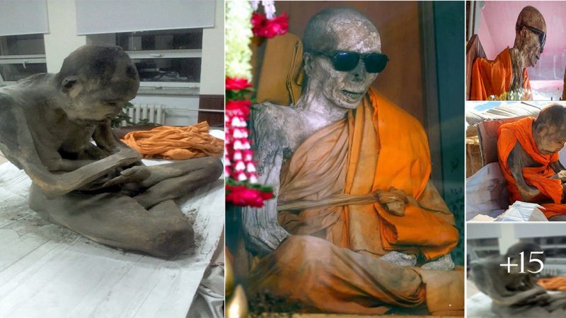 Discover the fascinating remains of a mummies monk: The history and mystique of the lotus stance