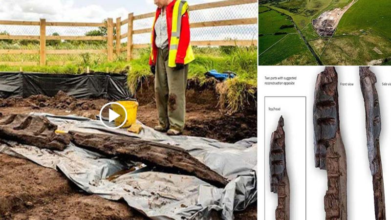 1,600-Year-Old Idol Found By Archaeologists In Irish Bog