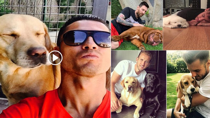 Famous dogs as close friends of world football superstars