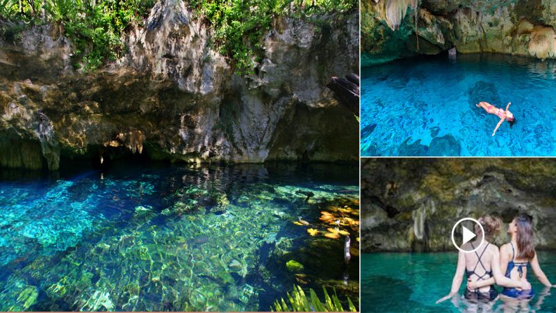 Experience the cenotes near Tulum with your family: How to have the picture-perfect day