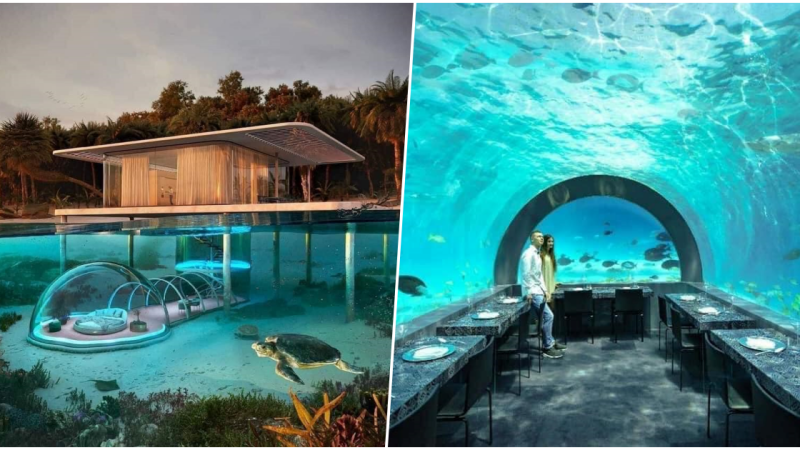 The underwater hotel in The Maldives looks UNREAL