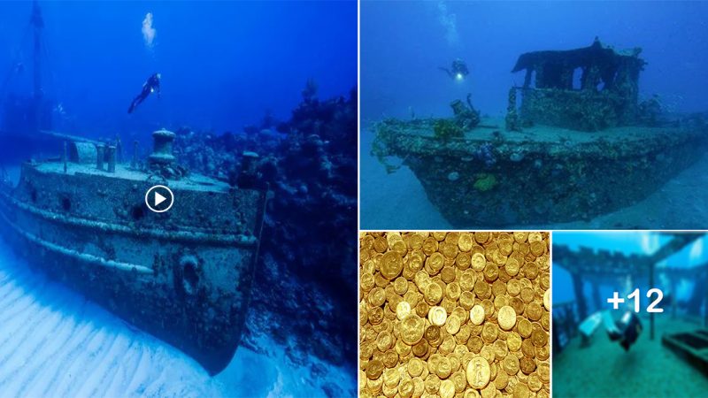 ‘Golden Chest’ archaeology bombshell A shipwreck might aid in solving a 16th-century mystery.