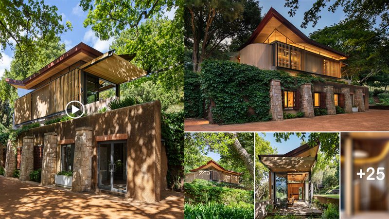 Two-storey House With Hovering Roof, Gym Room, Connect With Nature Seamlessly