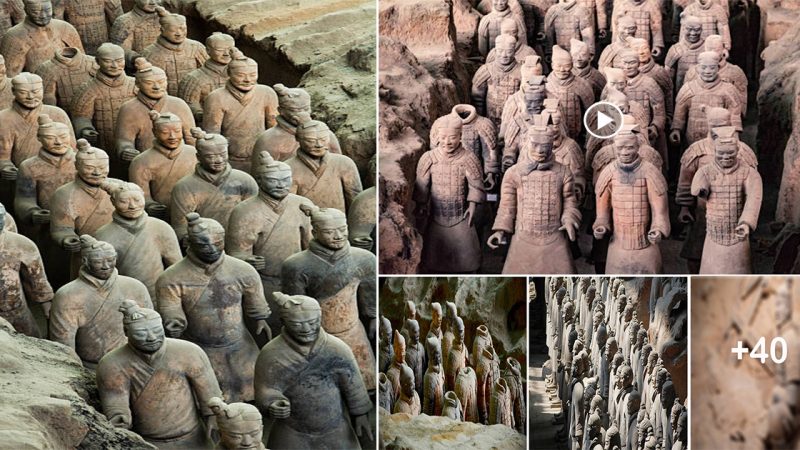 “The Silent Army: The Magnificent Terracotta Warrior Statues of Qin Shi Huangdi’s Tomb”