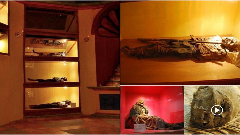 The Museum de las Animas houses an incredible mummy collection.