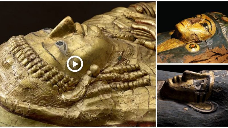 Ancient Egyptian mummification was never intended to preserve bodies, new exhibit reveals (VIDEO)