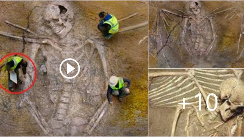 Archaeologists Discovered Giant Skeleton With Enormous Wings, Raising the Possibility That Angel Once Visited Earth