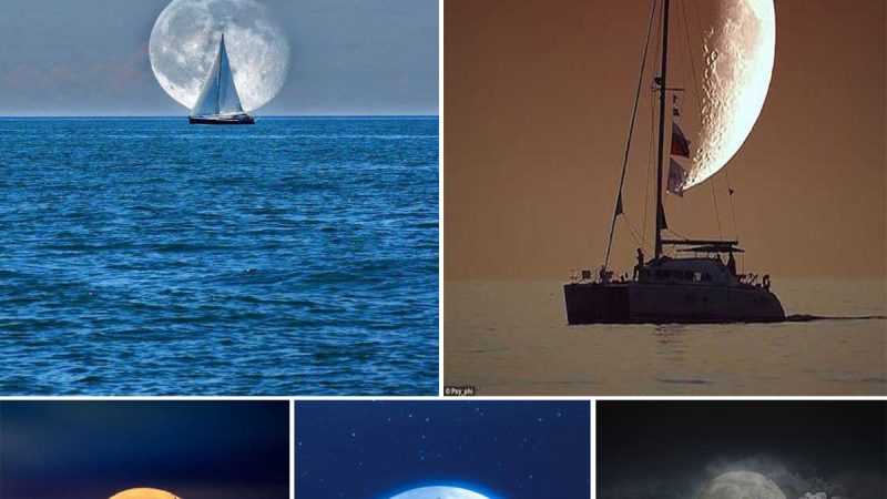 A beautiful sight: A sailboat and the Moon.