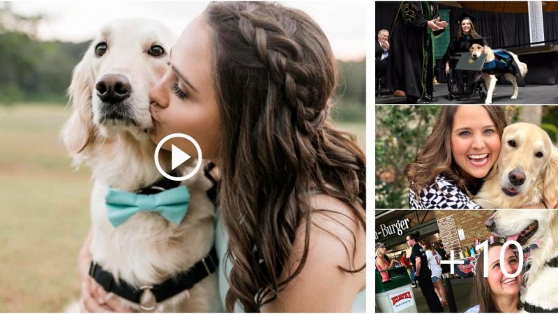 The University Awarded a Service Dog a Degree for Helping His Owner Complete Graduate School.