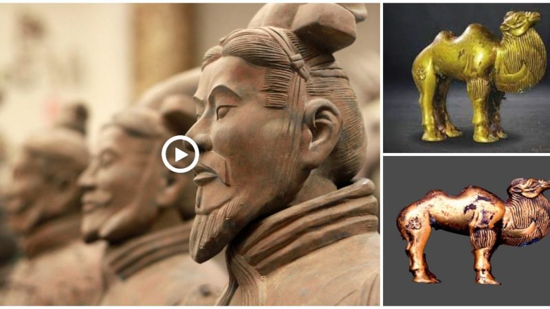 Two new treasures uncovered in China are the world’s oldest golden camel statue and 220 Terra Cotta Warriors.