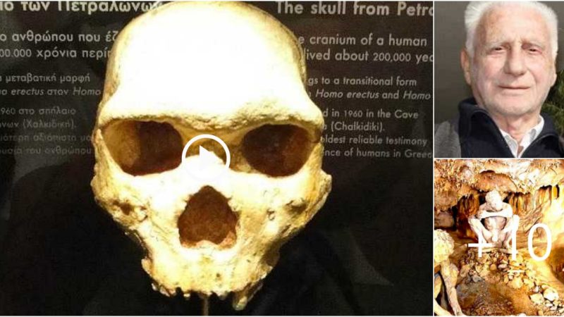 700,000-Year-Old Skull Found In Greece Completely Shatters ‘Out Of Africa Theory’