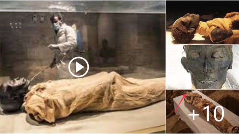 The mummified remains of King Thutmose IV