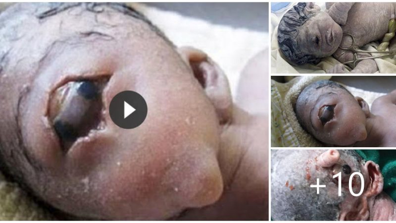 Mutant creature with human-like body with only one eye makes the whole world curious (Video)