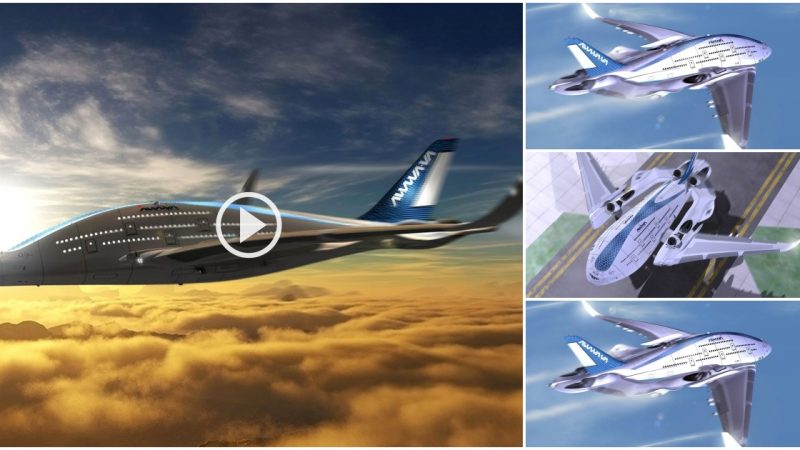 Sky Whale: A 3-Story Aircraft Concept Designed to Accommodate 755 Passengers