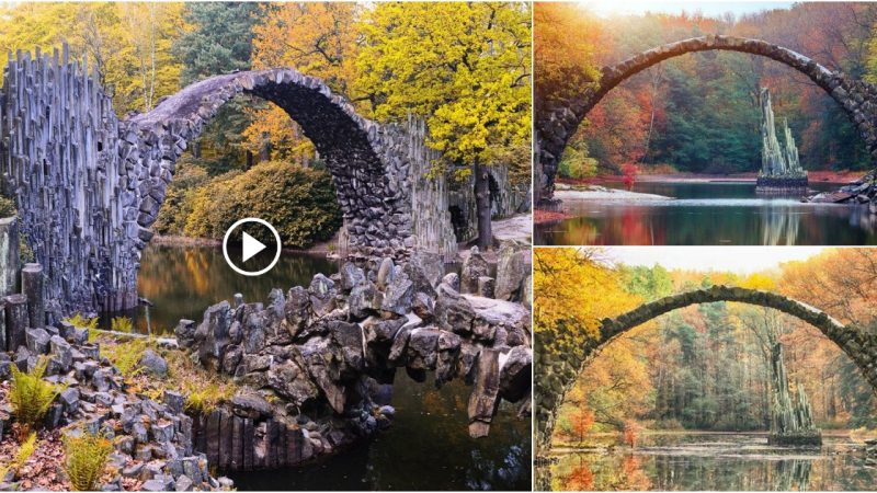 Discover The World’s Strangest Bridge, Which Can “Change Its Clothes” With So Many Colors Throughout Each Season That You’ll Be Stunned!