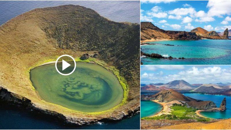 In Galapagos, you may explore the world’s largest and most dangerous crater.