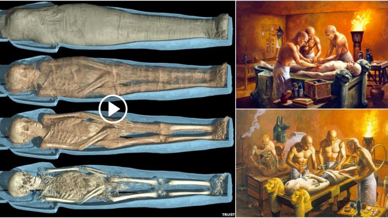 Revealing Egyptian Mummification Secrets: An Ancient Greek Discovery Provides New Insights into Ancient Embalming Practices