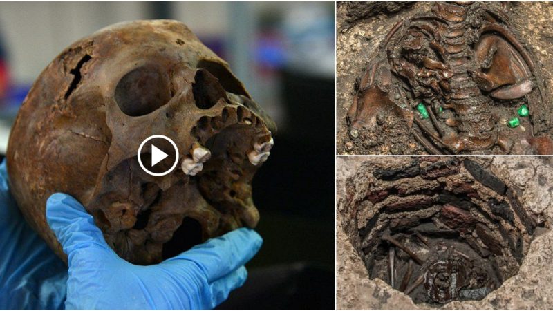 A Grim Child Was Discovered at the Foot of an Ancient Aztec Temple.