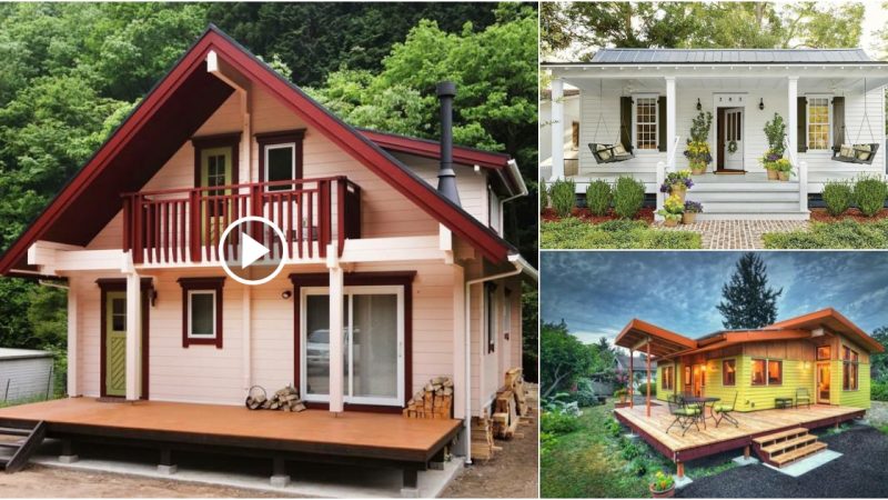 64 Resort-Style Wooden Home Designs That Are Ideal for Relaxing With Nature