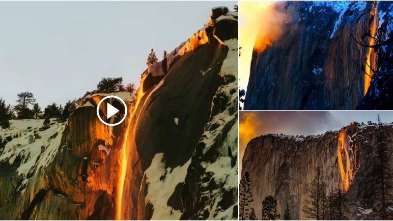 The waterfall’s fiery “fire down”moмent in Yosemite National Park