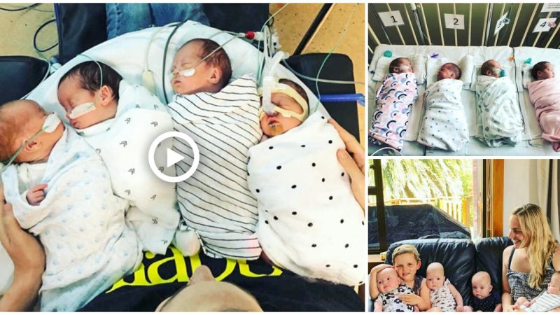 Mother welcomes 4 angels from New Zealand after experiencing infertility for up to 20 years