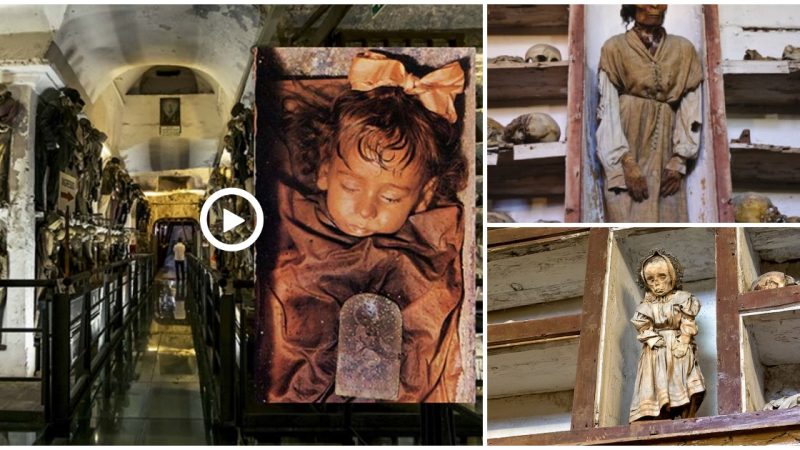 Sicilian mummies bring centuries to life