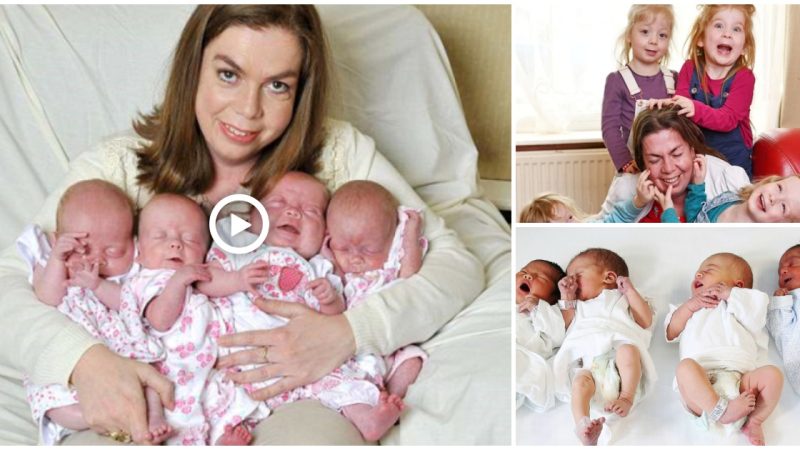 Rare Quadruplets Who Made History, Mom’s Got Pregnant From A Single Embryo That Split Into Three