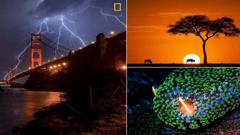 Enchanted by the Mesmerizing Beauty of Nature through National Geographic’s Stunning Photos