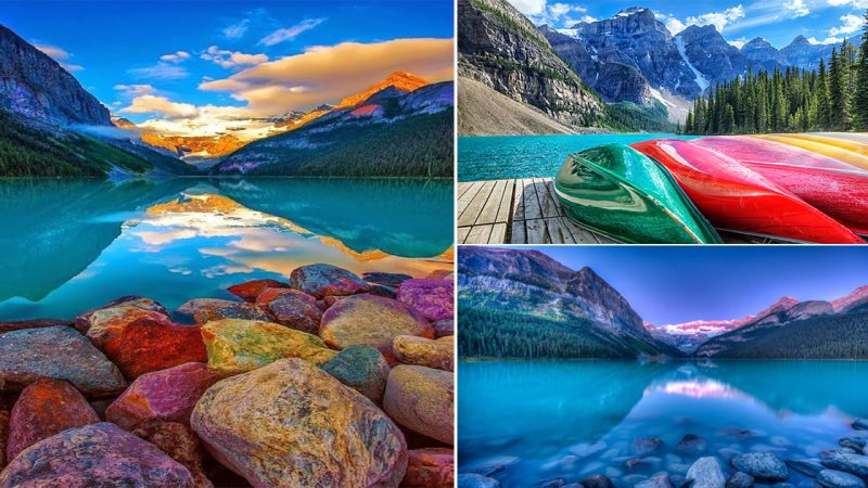 Discover the Beauty of Lake Louise