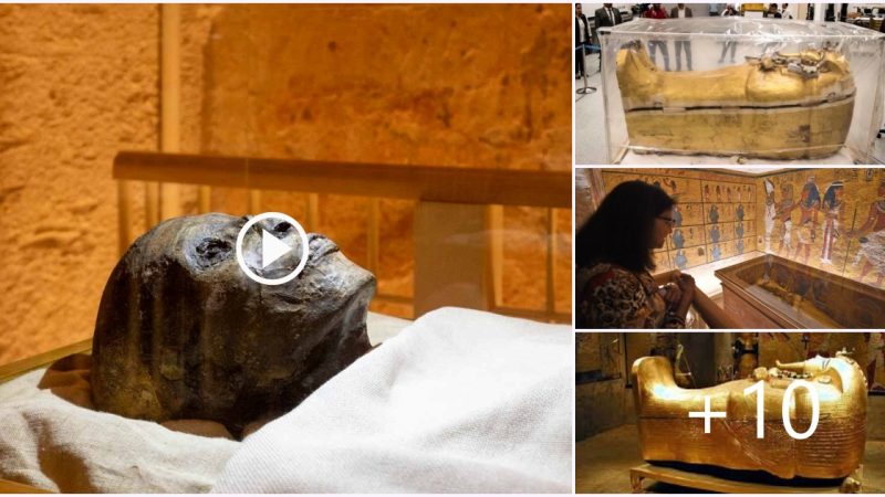 King Tut’s Coffin Has been Removed from his tomb for the First time in History