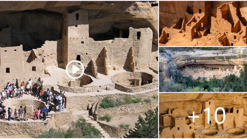 Mesa Verde National Park: Exploring the Enigmatic Cliff Dwellings of the Anasazi People