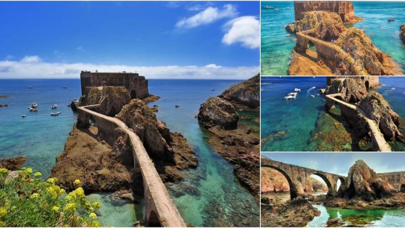 The Berlengas Islands and Other Surprises off the Central Coast of Portugal