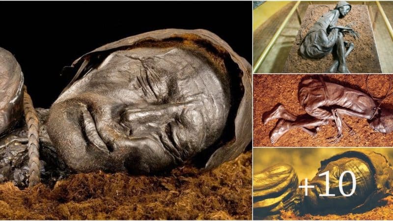 Archaeologists in Denmark unearthed a 2,400-year-old mummy known as the Tollund Man.