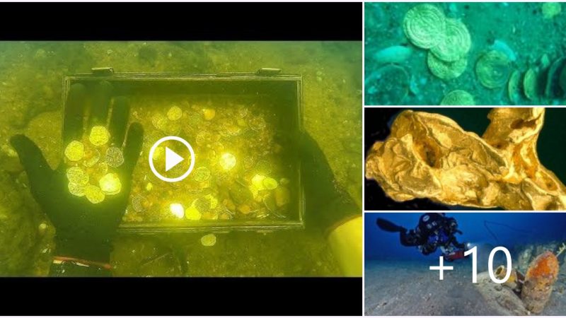 Explored for Treasure: “Found” Gold Coins While Scuba Diving Sunken Ship!