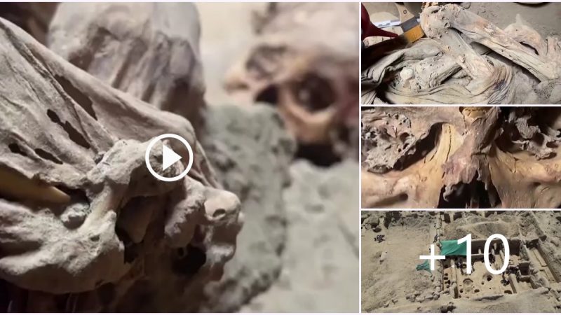 Archaeologists in Peru unearth 1,000-year-old adolescent mummy in a ‘good state of conservation’