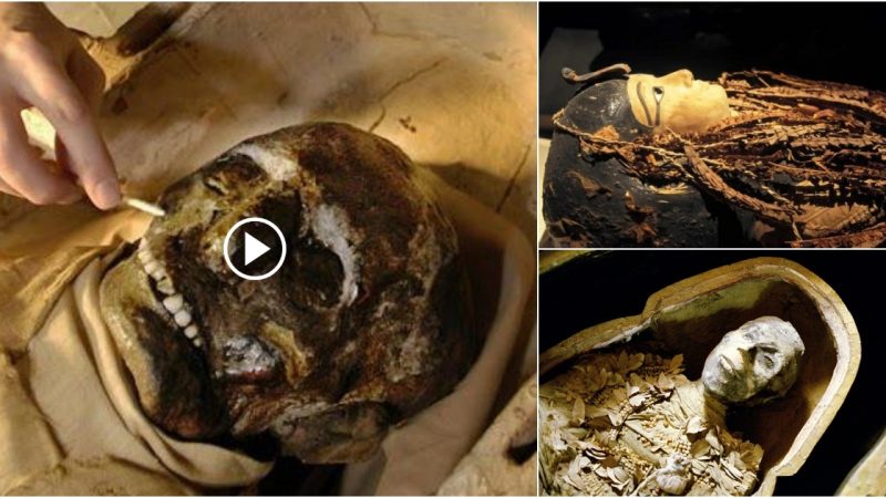 How did Egyptian embalmers get the brain out of the body?