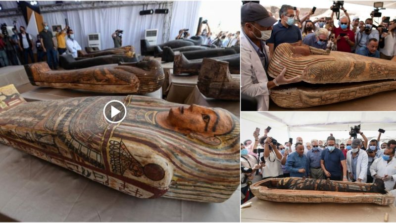 Ancient Egyptian coffins dating back 2,600 years have been opened for the first time in history.