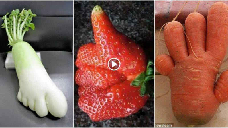 Discover 22 Surprising Fruits and Vegetables That Will Astound You.