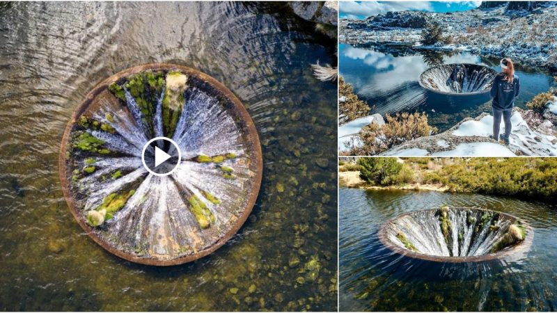 The Enchanting Portuguese Waterhole That Appears to Be a Doorway to Another Realm