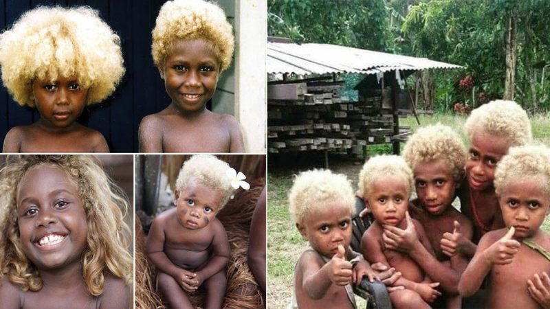 Melanesians: Meet the World’s Only Natural Black Blondes