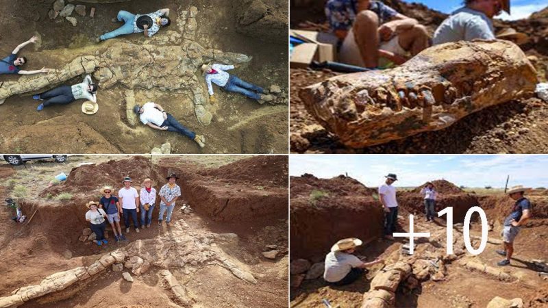 Fossil Hunters Unearth Incredible ‘Rosetta Stone’ Skeleton of a Dinosaur That Roamed Australia’s Vast Inland Sea 100 Million Years Ago