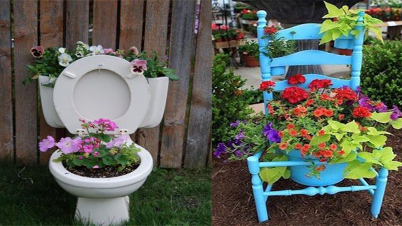 Take advantage of things that seem to be discarded to grow flowers