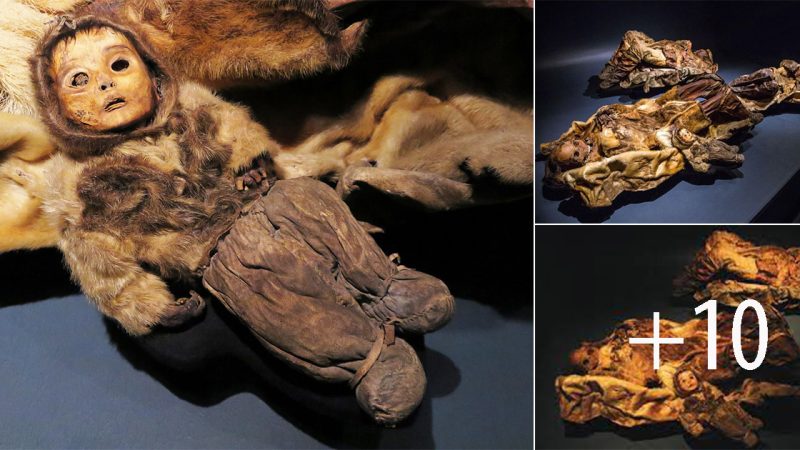 Extraordinary Discovery: Freeze-Dried Bodies Preserved for 500 Years, Including Buried Babies