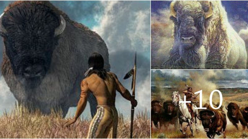 Native Americans and the Wild Buffalo