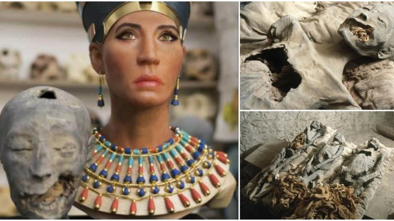 The Astonishing Discovery: Unraveling the Identity of the Younger Lady Mummy.