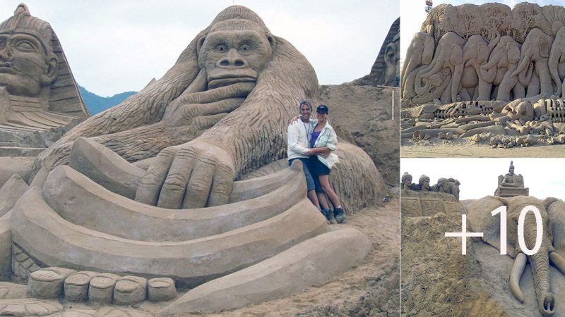 Spectacular Sand Sculptures Capture the Animal World in Amazing Detail