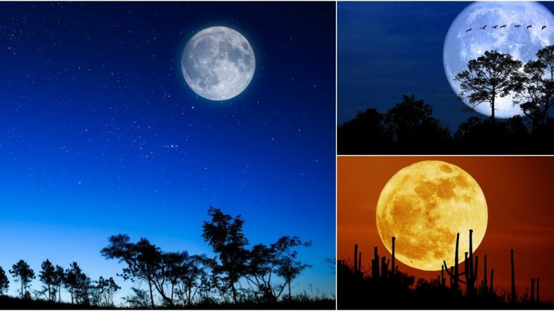 Discover with Over 103 Latest Full Moon Images