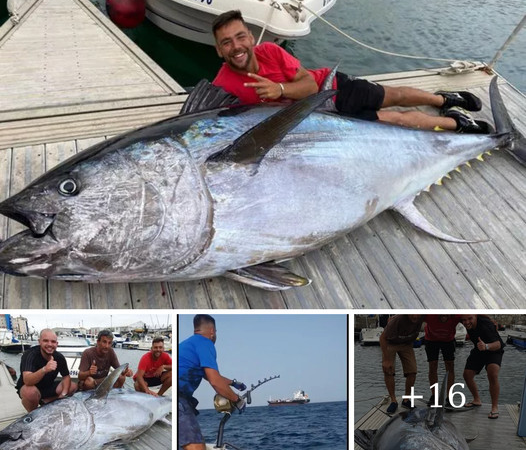 Amazing Story: Three Fishing Rods “Monster Fish” Super Giant Bluefin Tuna Weighing 328kg