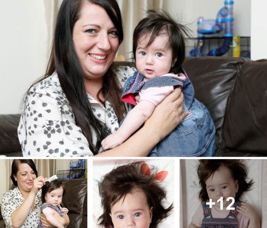 Incredible Hair Journey: Baby’s Amazing Transformation from Birth to Eight-Inch Locks in Just Six Months